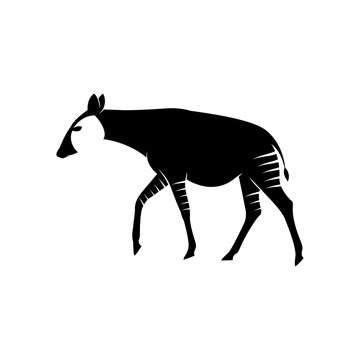 silhouette of a okapi