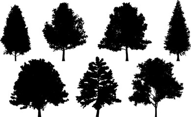 Set of tree silhouettes for the forest or park background. Cedar, oak, robinia, maple black silhouettes.