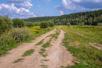 Naklejka na ściany i meble A dirt road in the middle of a field and forest in summer.
