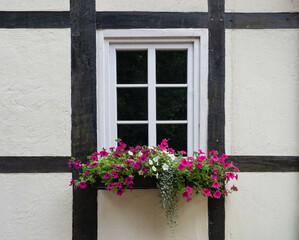 Fototapeta na wymiar flowerpot on wall of old timber framing house
