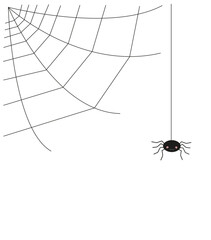 small black vector spider and web on the white background