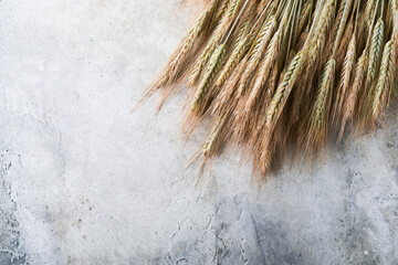 Ears of ripe wheat on grey stone or concrete table background. The problem of wheat transportation and world food crisis concept. Top view. Mock up.