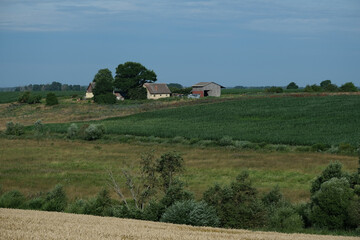 wheat field, valley with bushes and trees,
