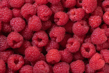 Raspberry. Fresh organic berries with leaves macro. Fruit background. Background from fresh raspberrys, close up. Top view, Flat lay, free space