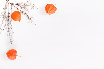 Autumn composition made of orange physalis and dry autumn twigs on white background. Autumn, fall...