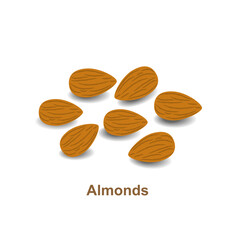 Almonds isolated on a white background. 