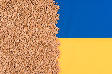 Wheat grain over Ukrainian blue and yellow flag with copy space. Global and European food crisis....