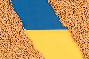 Wheat grain over Ukrainian flag with copy space for text. Global and European food crisis. World wheat grain crisis - obrazy, fototapety, plakaty