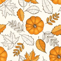 Gardinen Küche Muster  Autumn seamless pattern. Hand drawn vector illustration. Leaves and pumpkins hand drawn sketch. Autumn pattern sketch style. Engraved image.  © DiViArts