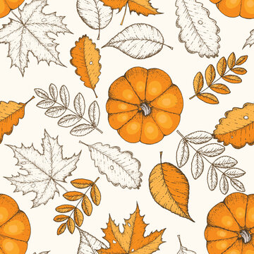 Autumn seamless pattern. Hand drawn vector illustration. Leaves and pumpkins hand drawn sketch. Autumn pattern sketch style. Engraved image.