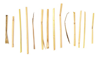 Macro straw isolated on white background for design and construction, clipping path 
