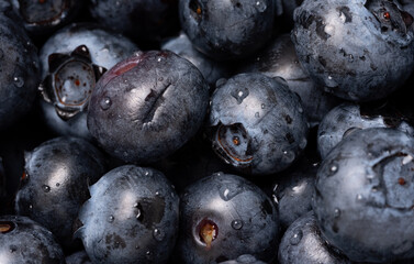 Blueberries on a macro scale. Dark berries in close-up. Ripe blueberries isolated. Healthy, natural fruit.