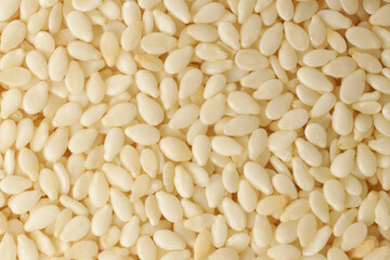 Raw white Sesame seeds, close-up. Natural background of sesame seeds.