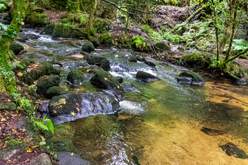 Kennall river in Kennall Vale Nature Reserve, Ponsanooth, Cornwall, United Kingdom