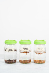 Growing sprouts in a jar