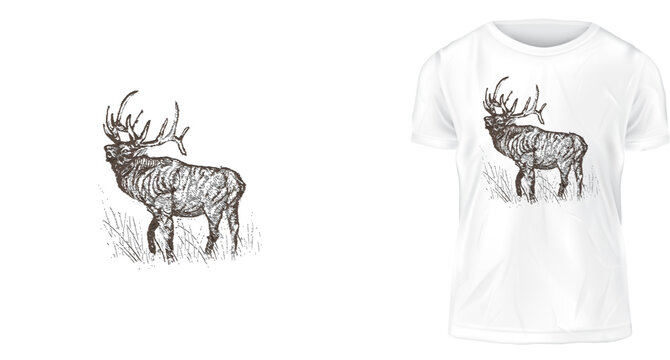 T shirt design concept, deer in the forest