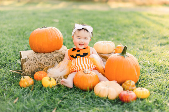 Halloween photoshoot cheap for babies