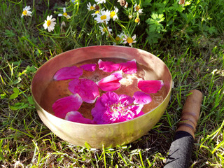Singing bowl with water and rose flowers on the grass. Musical instrument for sound healing,...