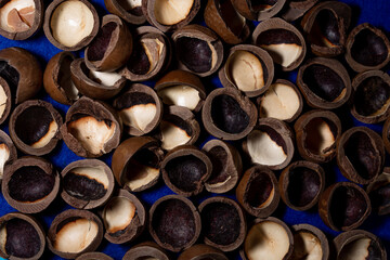 macadamia nut shell close-up, cracked macadamia nut, selective focus.