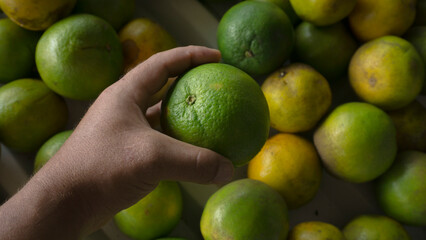 Buying oranges at the store