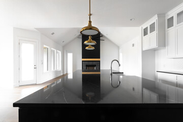 New Construction Modern Home Black Kitchen Island Looking Into Bright Open Living Room with Gold...