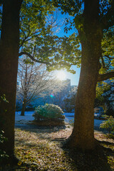 雪が降る神奈川公園