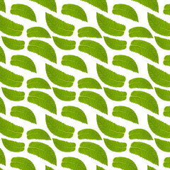 Seamless pattern with mint leaves on white.