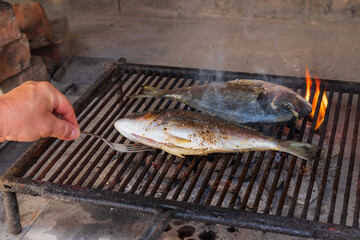 Two sea fish on the grill are being grilled on barbecue coals.