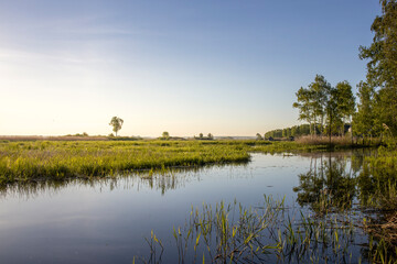 Scenic landscape with foggy river and forest on the horizon. Mystical morning landscape on the pond. Dawn over the lake.