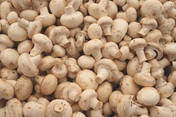 Sale of mushrooms in a street market