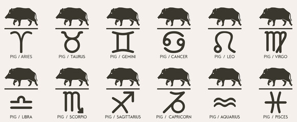 Vector Year of the pig boar swine hog Animal icons eastern annual horoscope and zodiac signs in one symbol 2031 2043 2055 2067 years