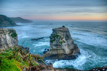 Muriwai gannet colony at sunset with white capped waves, West Auckland, New Zealand