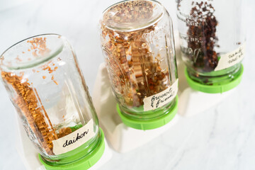 Growing sprouts in a jar