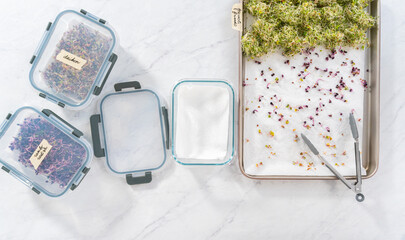 Growing sprouts in a jar