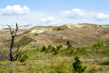 Beautiful landscape of Curonian Spit sand dunes by Baltic Sea Curonian Lagoon, Neringa, Lithuania