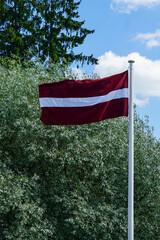 Latvian National Flag on the mast waving in the wind against blue sky and green foliage