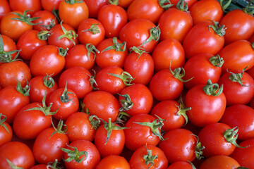 red tomatoes background. ripe organic tomato.