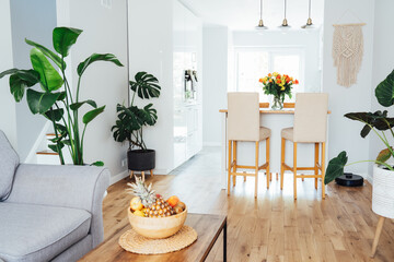 Stylish scandinavian interior of open space living room with white kitchen. Modern furniture, wooden parquet floor and many green plants. Home interior design. Cozy home decor. Biophilia style