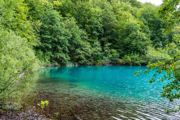 Naklejka premium Plitvice lakes in Croatia, beautiful summer landscape with turquoise water
