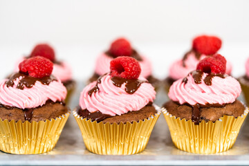 Chocolate raspberry cupcakes