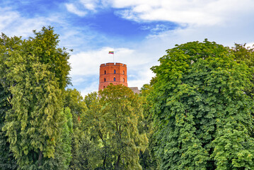 Fototapeta na wymiar Tower of Gediminas castle. Lithuania