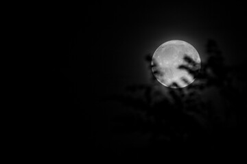 Fototapeta Mond im Nachthimmel  obraz