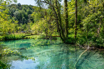 Plitvice lakes in Croatia, beautiful summer landscape with turquoise water