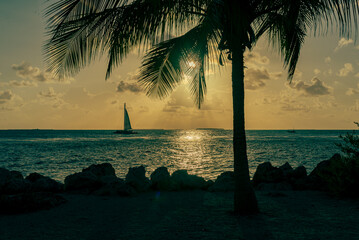 sunset on the sea