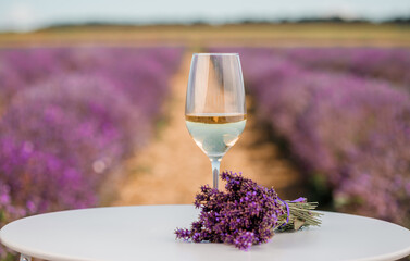 Glass of white wine in a lavender field in Provance. Violet flowers on the background