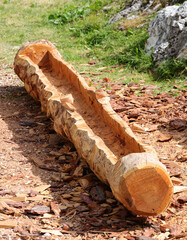 trunk of a tree hollowed out by the craftsman to create a natural planter in mountains
