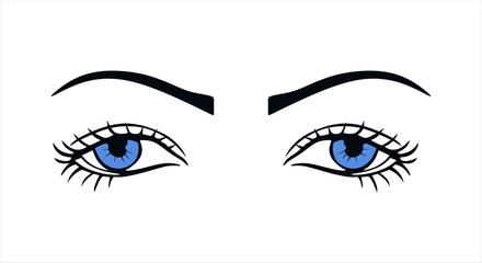 Illustration of a blue luxurious female eye with eyebrows and lush eyelashes. Business card idea, vector typography. Perfect interior look.