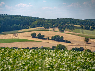 Ackerbau im Sommer