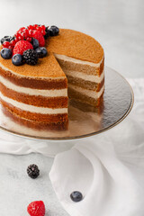 Honey cake with layers and pastry cream on plate, closeup view. Slice of delicious Medovik cake