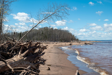 Driftwood on a sandy beach along the south shore of Lake Superior in northern Wisconsin. Calm waves lap the sand on a sunny day with blue skies and fluffy clouds in handheld clip.